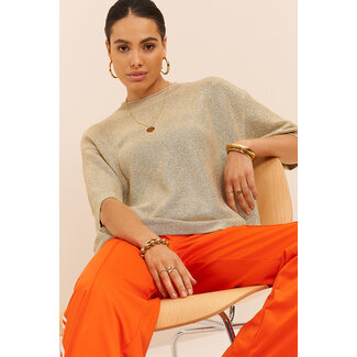 My Jewellery Beige lurex top met ronde hals