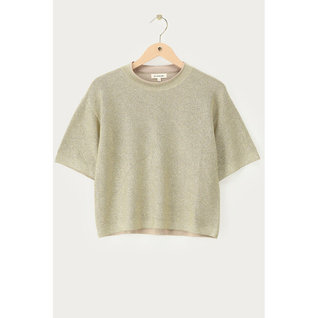 Beige lurex top met ronde hals