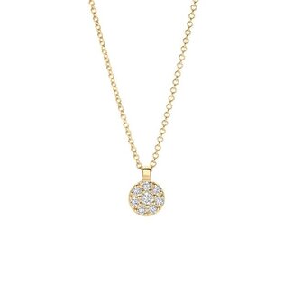 Blush Gold Jewels Collier 3206YZI - Geelgoud (14k) met Zirkonia