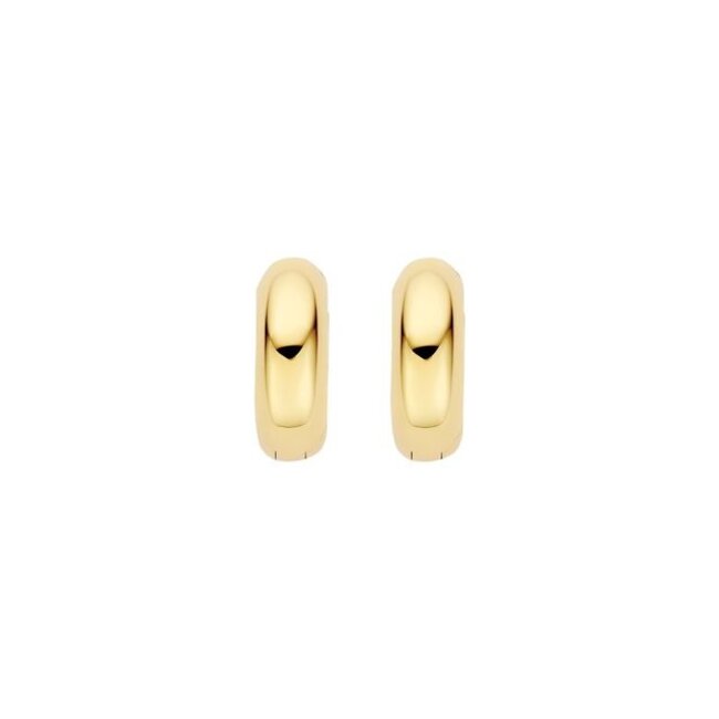 Oorringen 7388YGO - Geelgoud (14k)