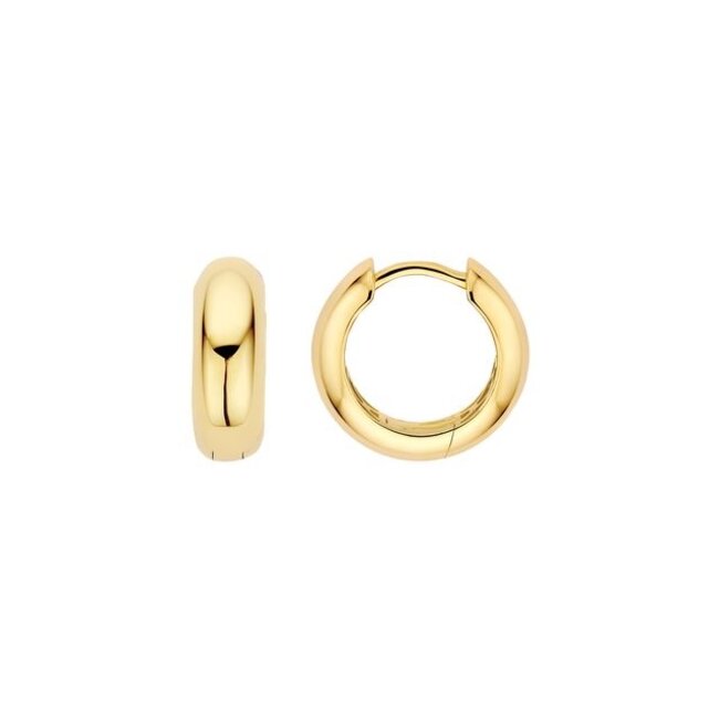 Oorringen 7388YGO - Geelgoud (14k)