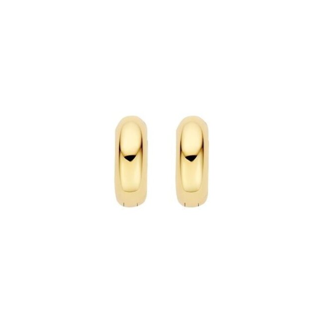 Oorringen 7389YGO - Geelgoud (14k)