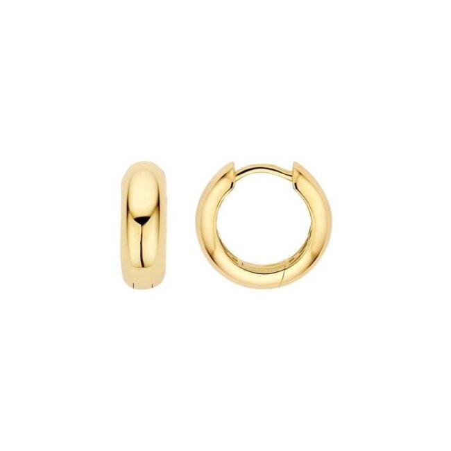 Oorringen 7389YGO - Geelgoud (14k)