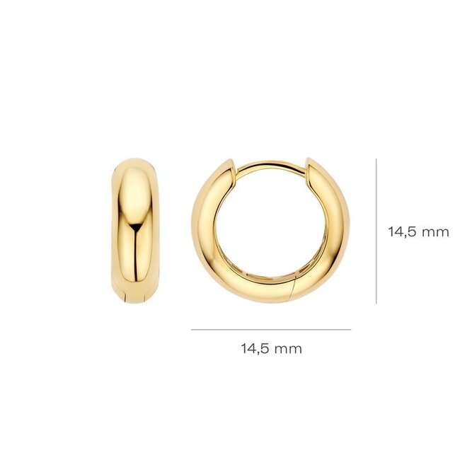 Oorringen 7389YGO - Geelgoud (14k)