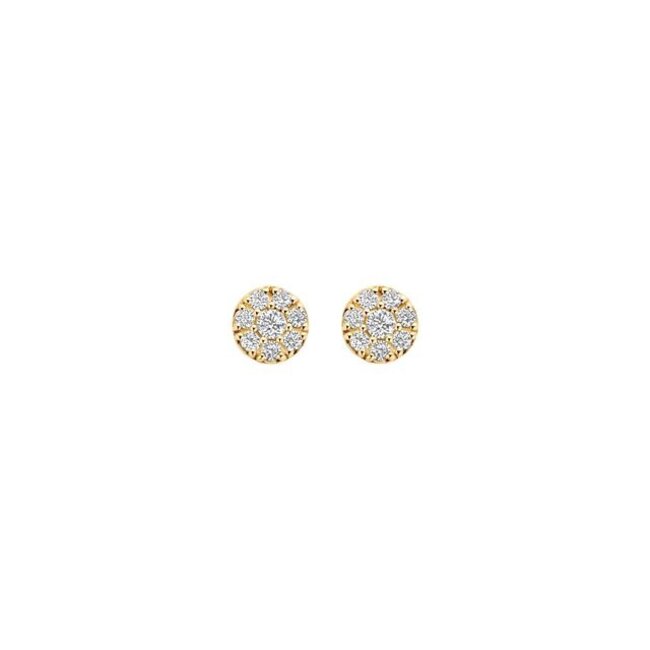 Oorknoppen 7396YZI - Geelgoud (14k) met Zirkonia