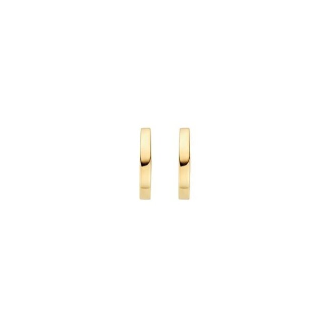 Oorringen 7399YGO - Geelgoud (14k)