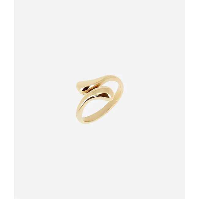 Ring Daruma