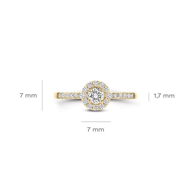 Blush Lab Diamonds Ring LG1058Y – Geelgoud (14k)