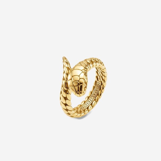 Ring Ben XS Slang Verguld