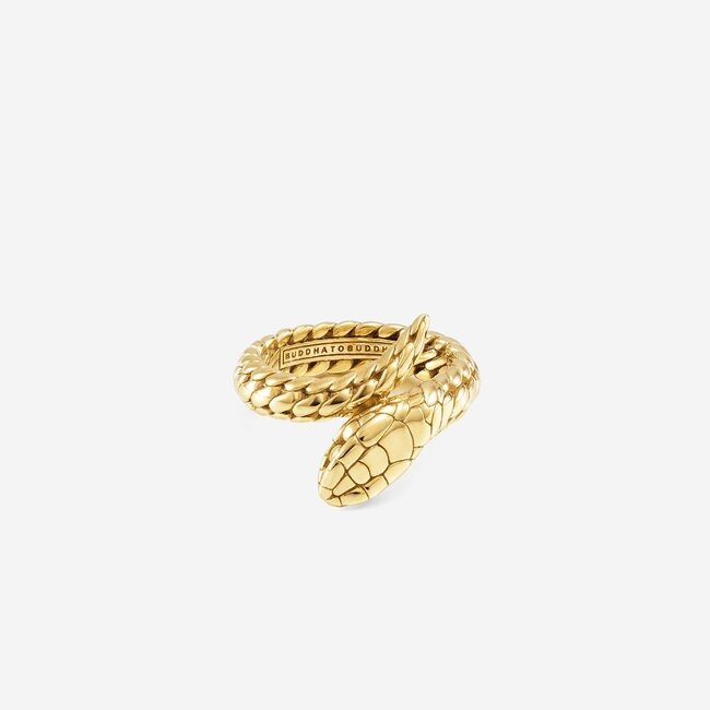 Ring Ben XS Slang Verguld