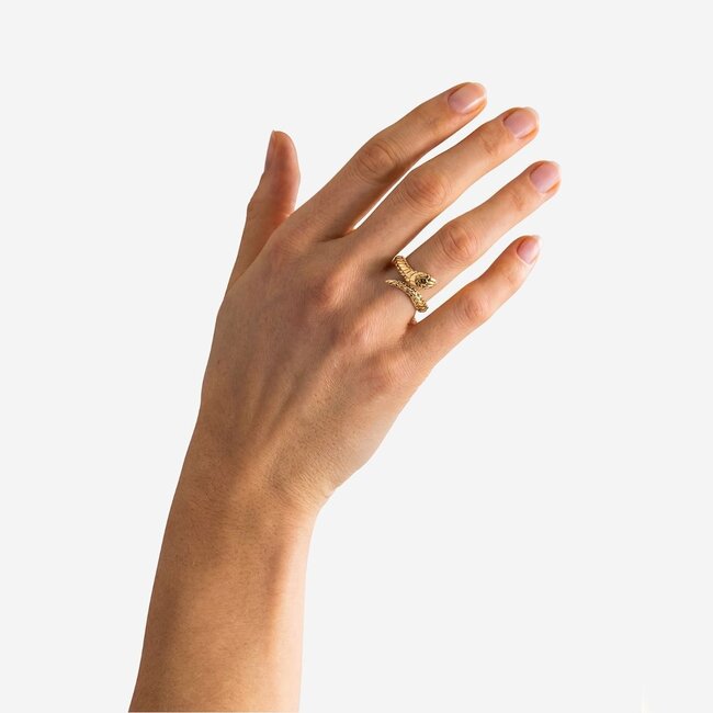 Ring Ben XS Slang Verguld