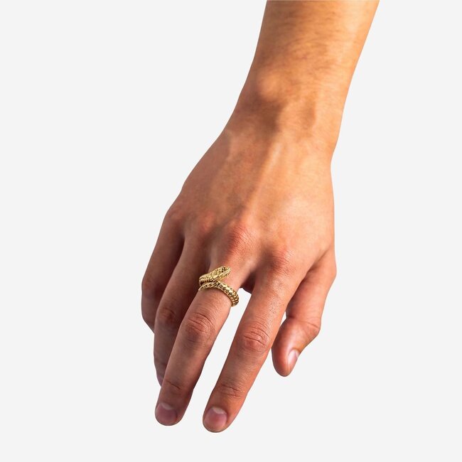 Ring Ben XS Slang Verguld