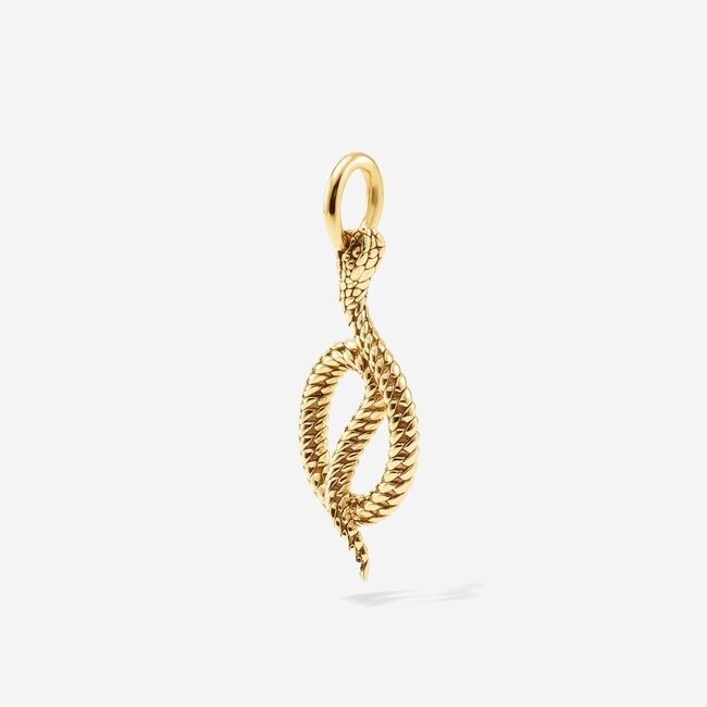 Hanger Ben Snake Verguld