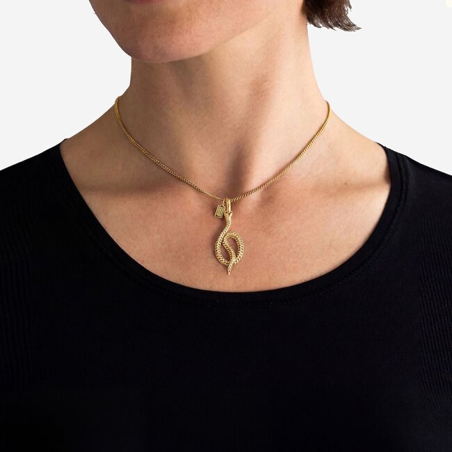 Hanger Ben Snake Verguld