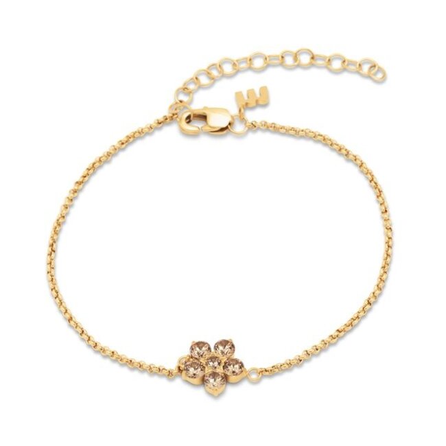 Friends Annie Armband - Champagne