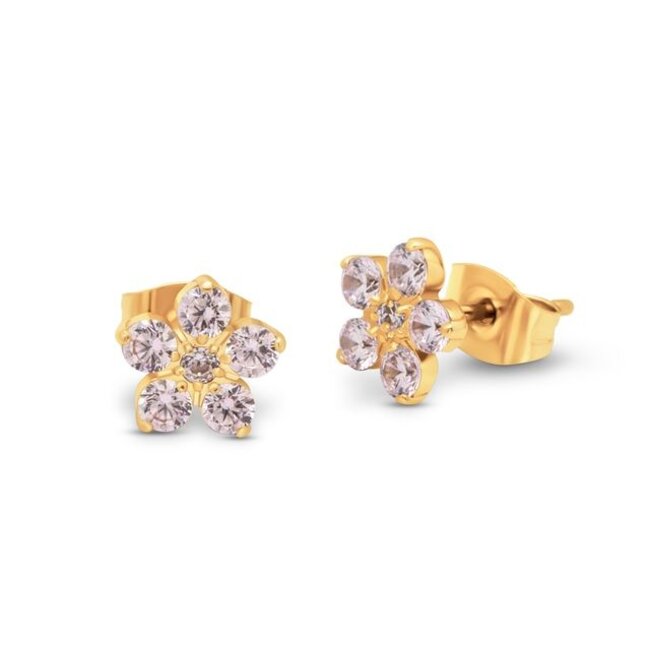 Friends Anika Oorbellen - Diamond light pink