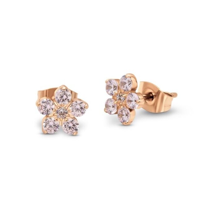 Friends Anika Oorbellen - Diamond light pink