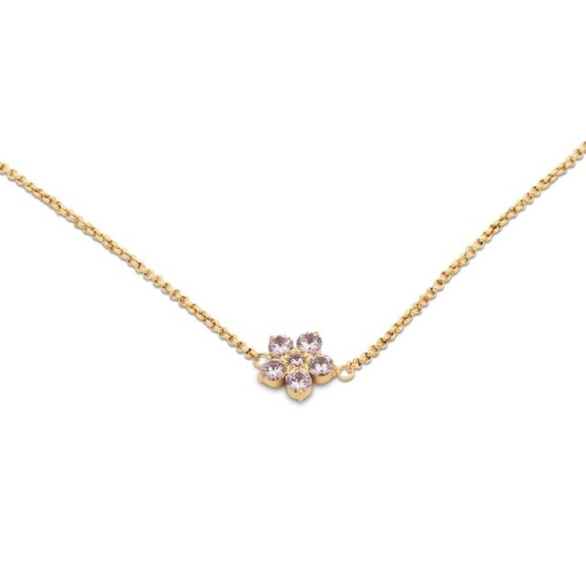 Friends Ana Ketting - Diamond light pink