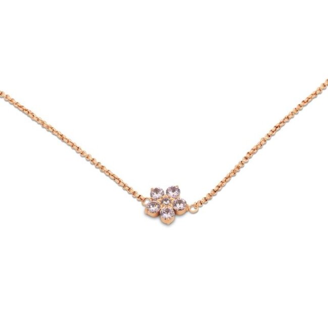 Friends Ana Ketting - Diamond light pink