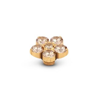 Melano Jewelry Vivid Botanic - Champagne