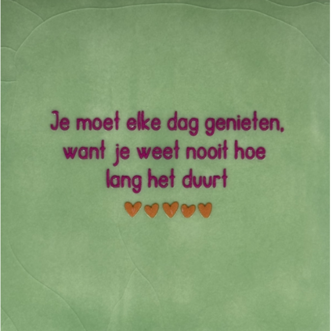Tegeltje - Je moet elke dag genieten….