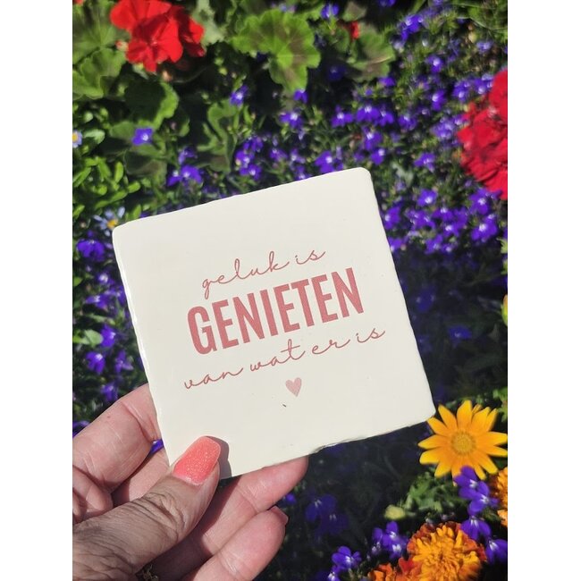 Tegeltje - Geluk is genieten van wat er is