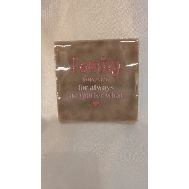 Tegeltje - Family forever for always no matter what