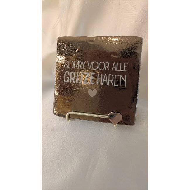 Tegeltje - Sorry voor alle grijze haren