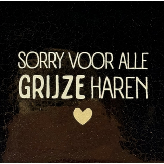 Yett Agenturen Tegeltje - Sorry voor alle grijze haren