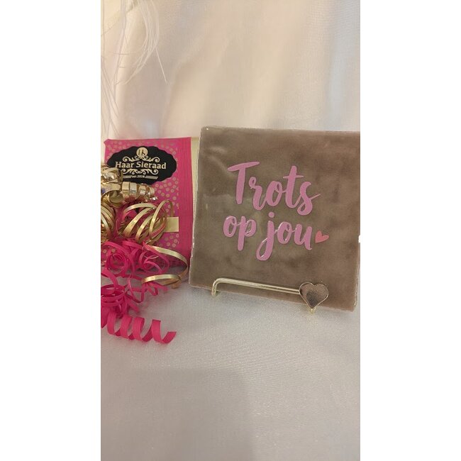 Tegeltje - Trots op jou