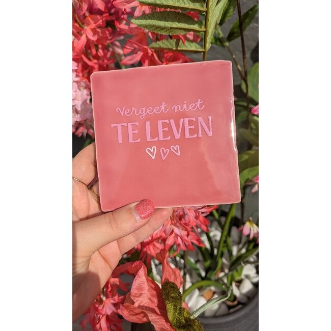 Tegeltje - Vergeet niet te leven