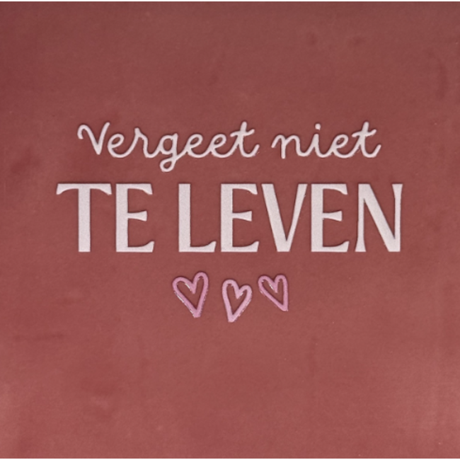 Tegeltje - Vergeet niet te leven