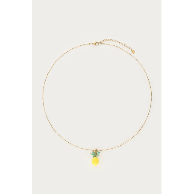 Ciao ketting met citroen