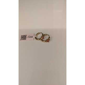 My Jewellery Oorringen met oranje steen