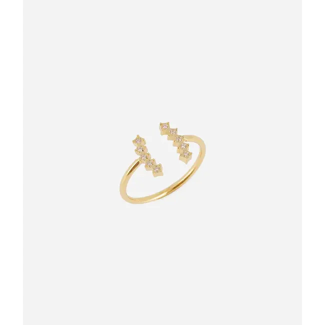 Ring Cassis