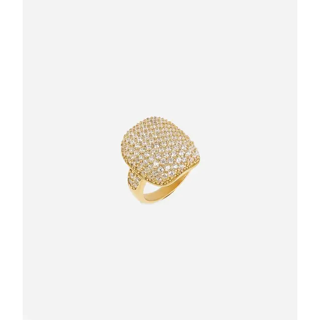 Ring Renesmée - Maat 58/60