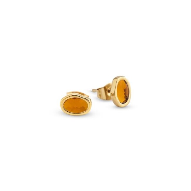Friends Noemi Oorbellen - Light Caramel