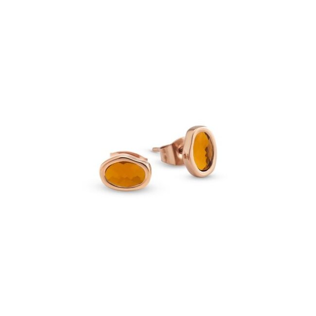 Friends Noemi Oorbellen - Light Caramel