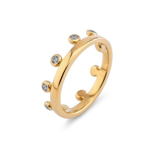 Friends Ring Zita Black Diamond - Goudkleurig