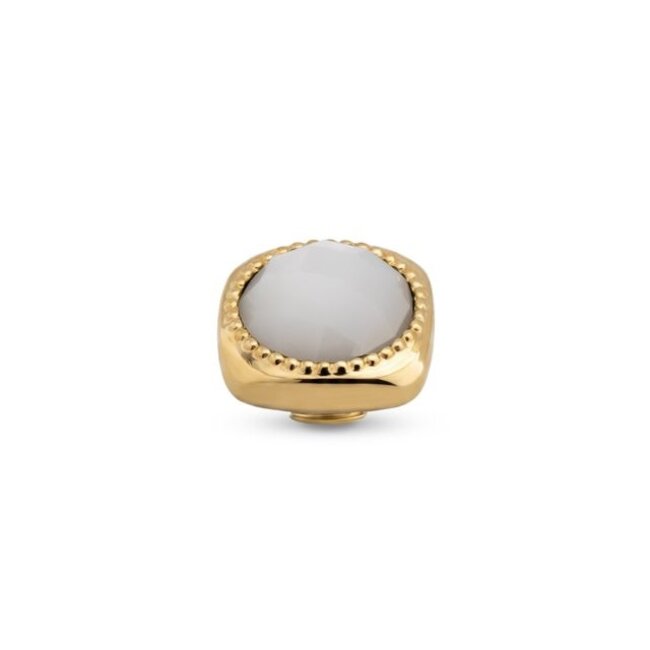 Vivid Setting Liam - White Shell