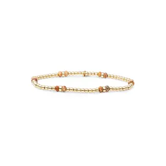 Sparkling Jewels Double Reverse Roundel Armband Landscape Jasper