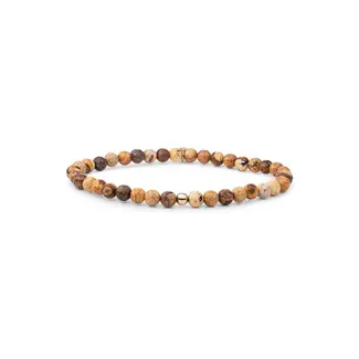 Sparkling Jewels Saturn Armband Small Landscape Jasper