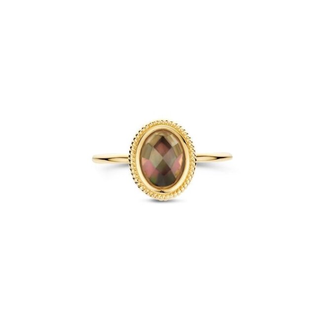 Ring 1291YBQ - Geelgoud (14k) met Black