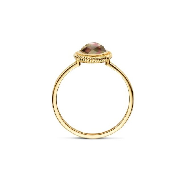 Ring 1291YBQ - Geelgoud (14k) met Black