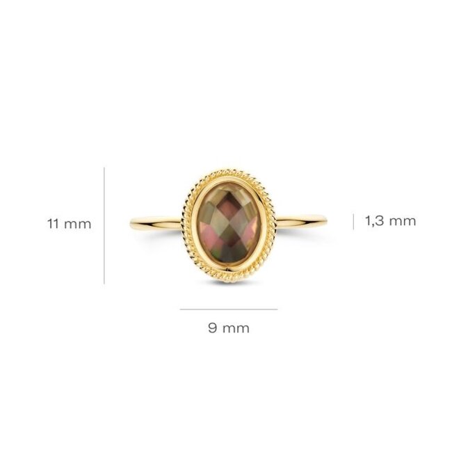 Ring 1291YBQ - Geelgoud (14k) met Black