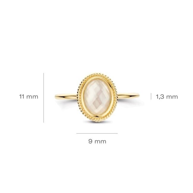 Ring 1291YMQ - Geelgoud (14k)met Mother of Pearl