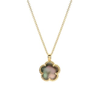 Blush Gold Jewels Collier 3209YBQ - Geelgoud (14k) met Black
