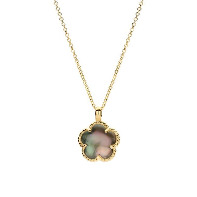 Collier 3209YBQ - Geelgoud (14k) met Black
