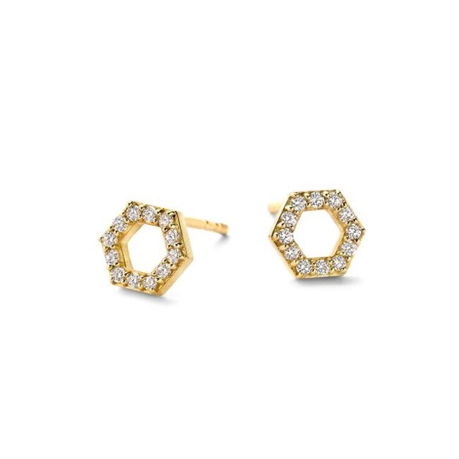 Oorbellen 7401YZI - Geelgoud (14k) met Zirkonia