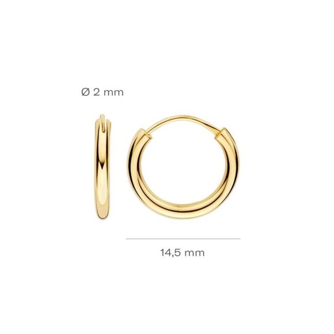 Oorbellen 7405YGO - Geel Goud (14k)
